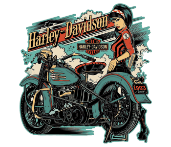 vintage Gasoline Bandit